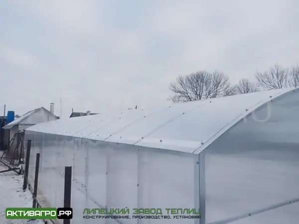 Теплица Ударница Благодатная, ширина 3/3.5 м, труба 40х20 + 20х20 Теплица Ударница Благодатная, ширина 3/3.5 м, труба 40х20 + 20х20