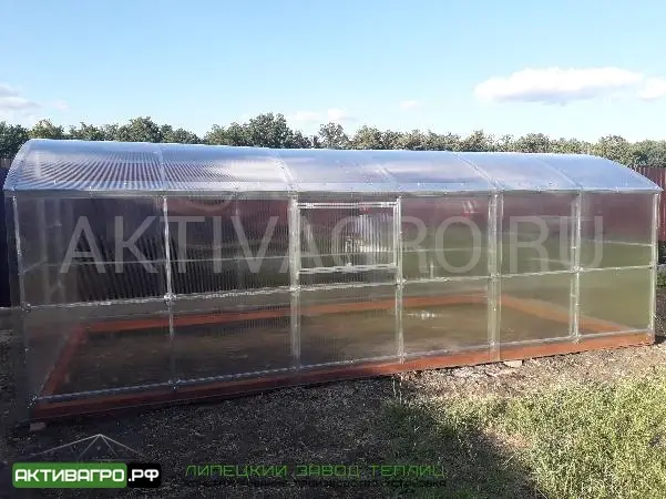 Теплица Ударница Благодатная, ширина 3/3.5 м, труба 40х20 + 20х20 Теплица Ударница Благодатная, ширина 3/3.5 м, труба 40х20 + 20х20