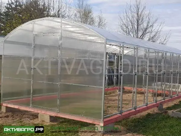 Теплица Ударница Благодатная, ширина 3/3.5 м, труба 40х20 + 20х20 Теплица Ударница Благодатная, ширина 3/3.5 м, труба 40х20 + 20х20