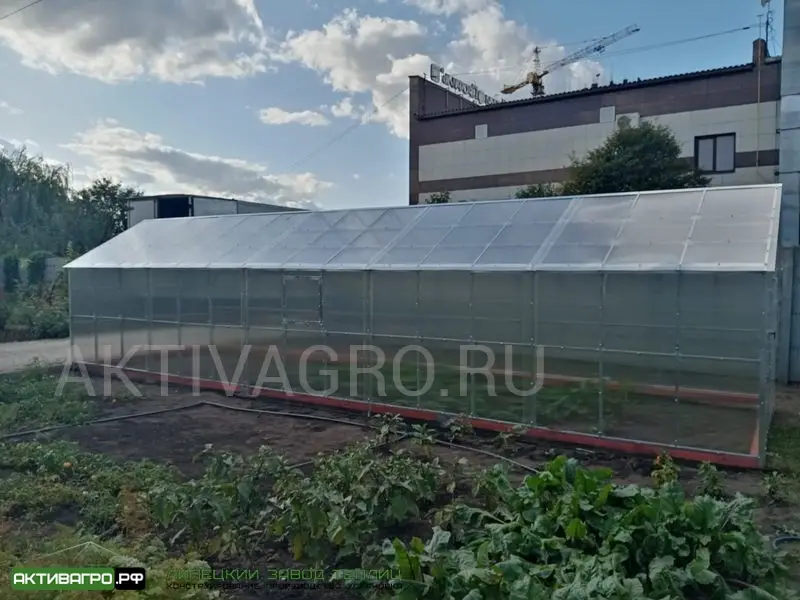 Теплица Ударница Англичанка, ширина 3 м, труба 40х20 Теплица Ударница Англичанка, ширина 3 м, труба 40х20